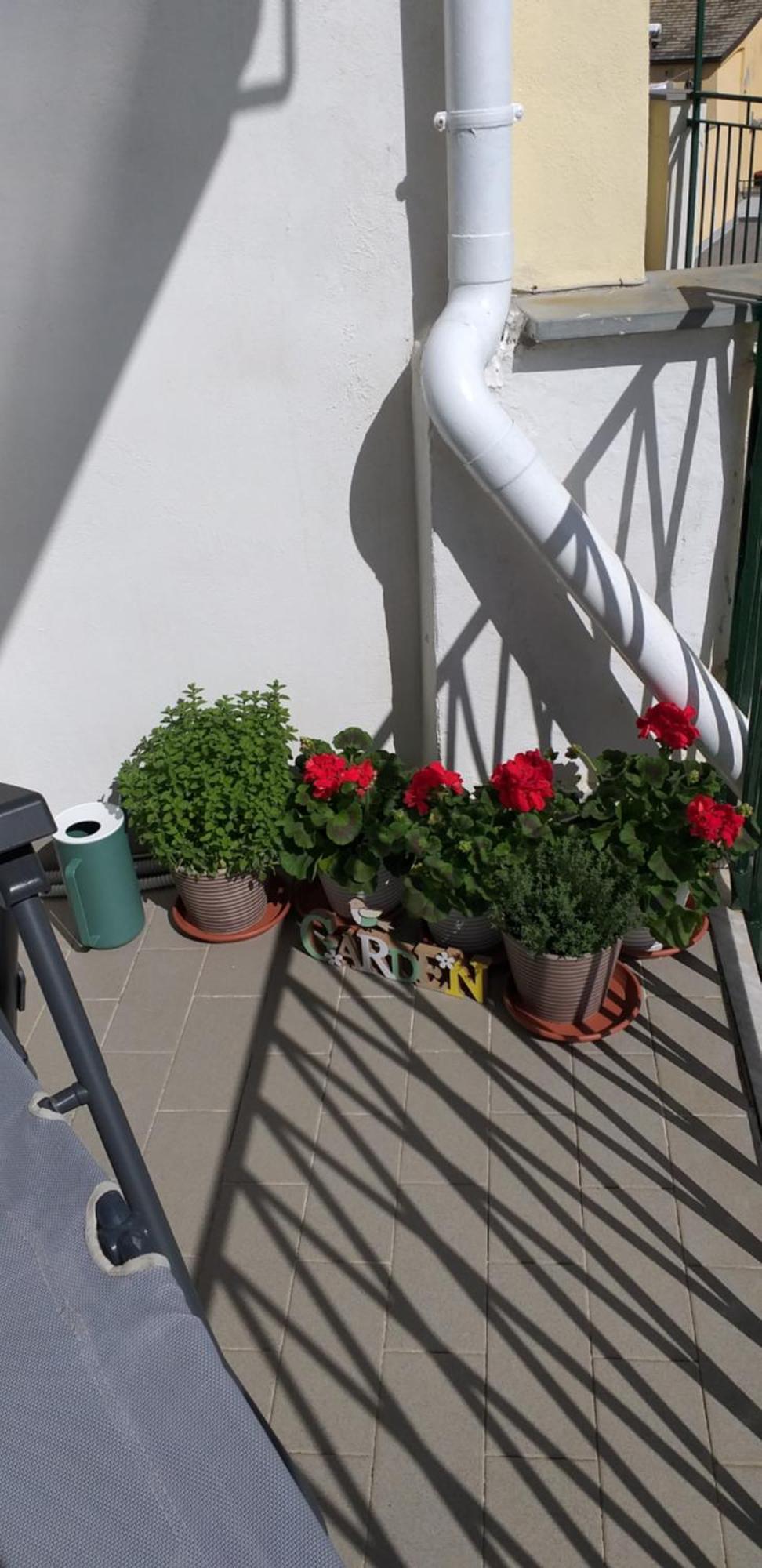 Ferienwohnung Aa Ciasea Duu Pintuu Riomaggiore Exterior foto
